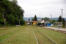 min 482 14.jpg